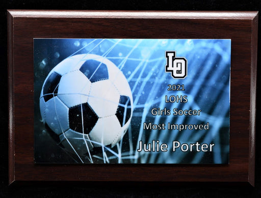 Soccer Sports Plaque, Picture with Ball in Net