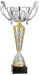 Silver and Gold Trophy Cup