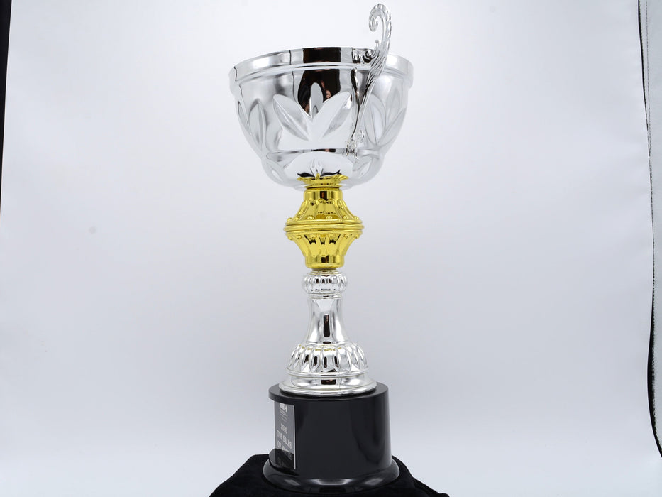 Silver Metal Cup Trophy on Plastic Base