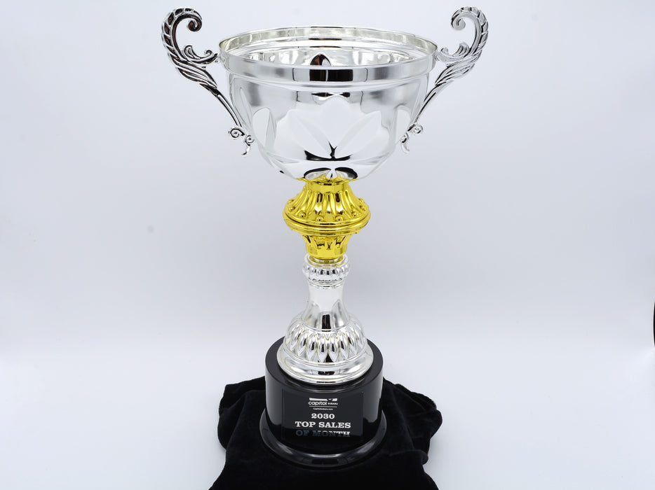 Silver Metal Cup Trophy on Plastic Base
