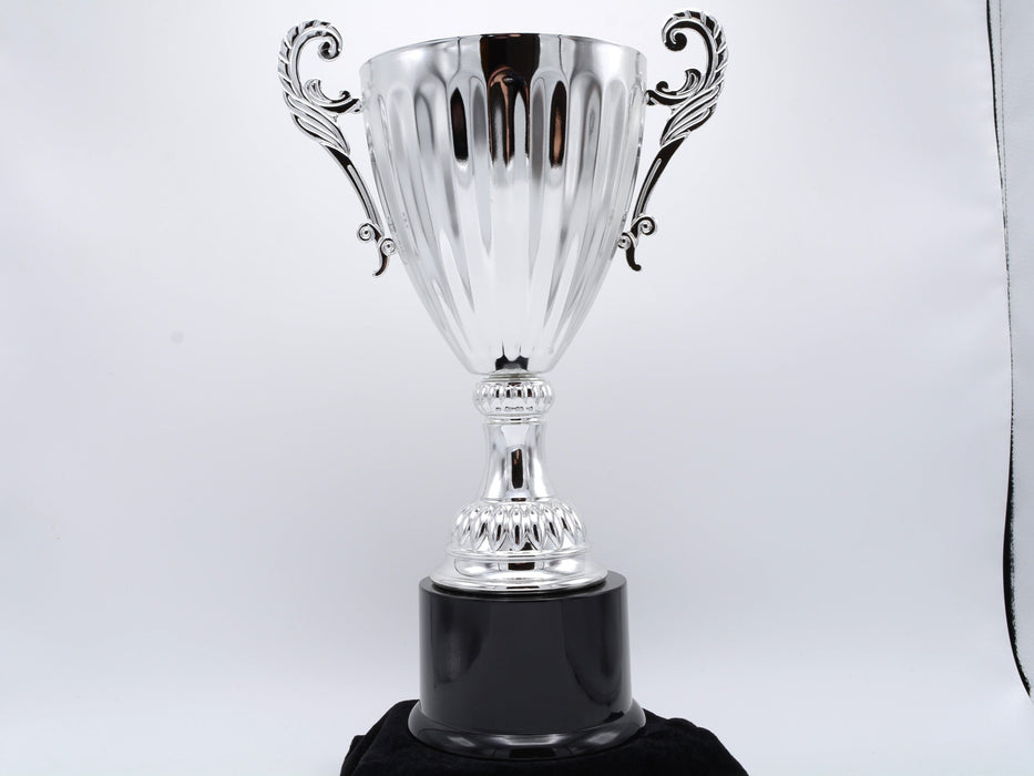 Silver Metal Cup Trophy on Plastic Base