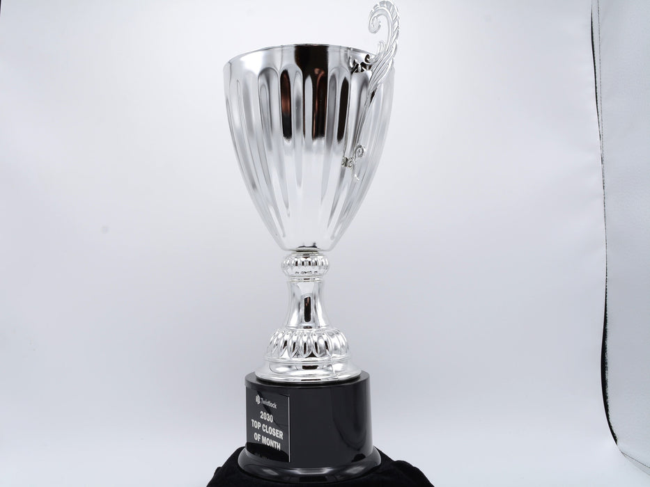 Silver Metal Cup Trophy on Plastic Base