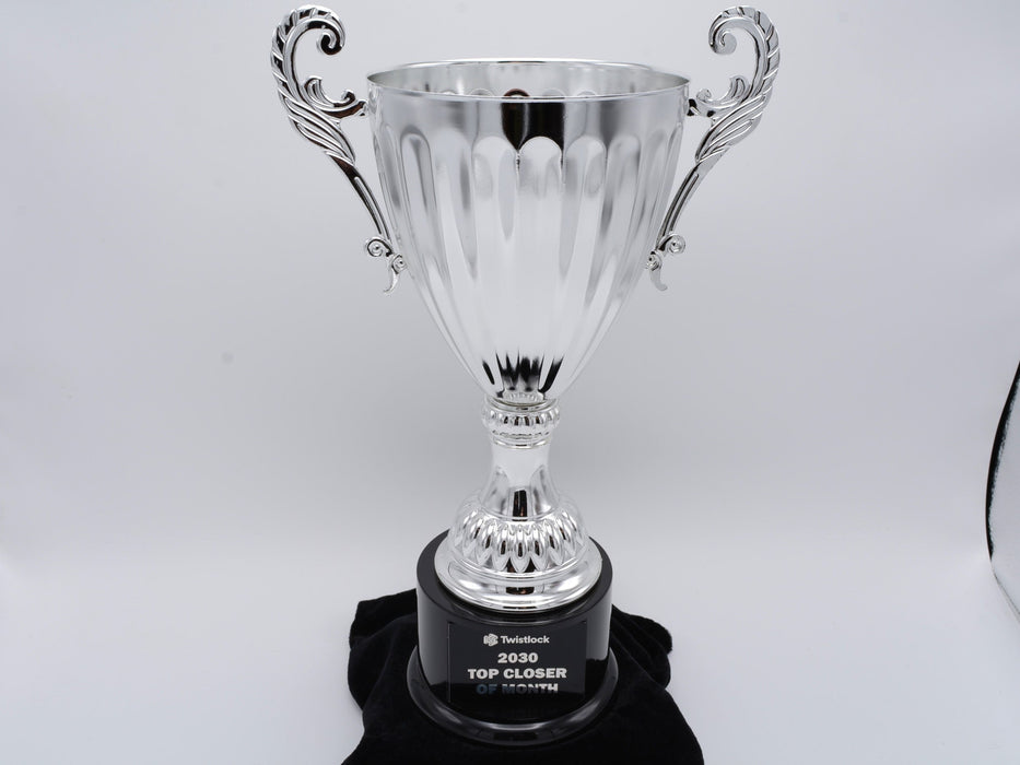 Silver Metal Cup Trophy on Plastic Base