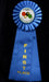 Rosette Stock Insert Ribbon - First Place