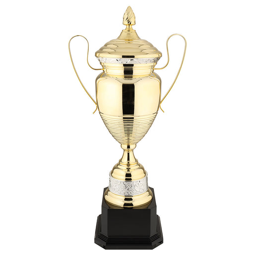 Gold with Silver Inlay Metal Trophy Cup