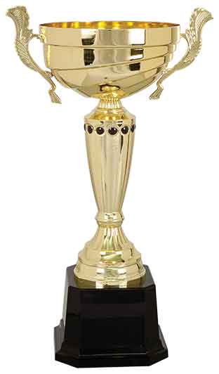 Gold Metal Cup Trophy with Handles on Black Plastic Base