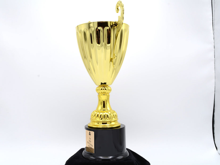 Silver Metal Cup Trophy on Plastic Base