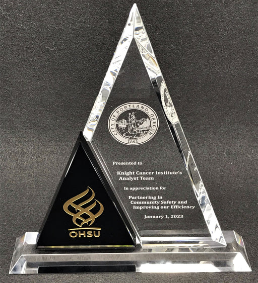 Crystal Duet Triangle Award with black and clear triangles